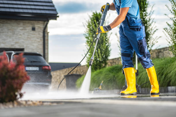 Animal Enclosure Cleaning in Olympia, WA